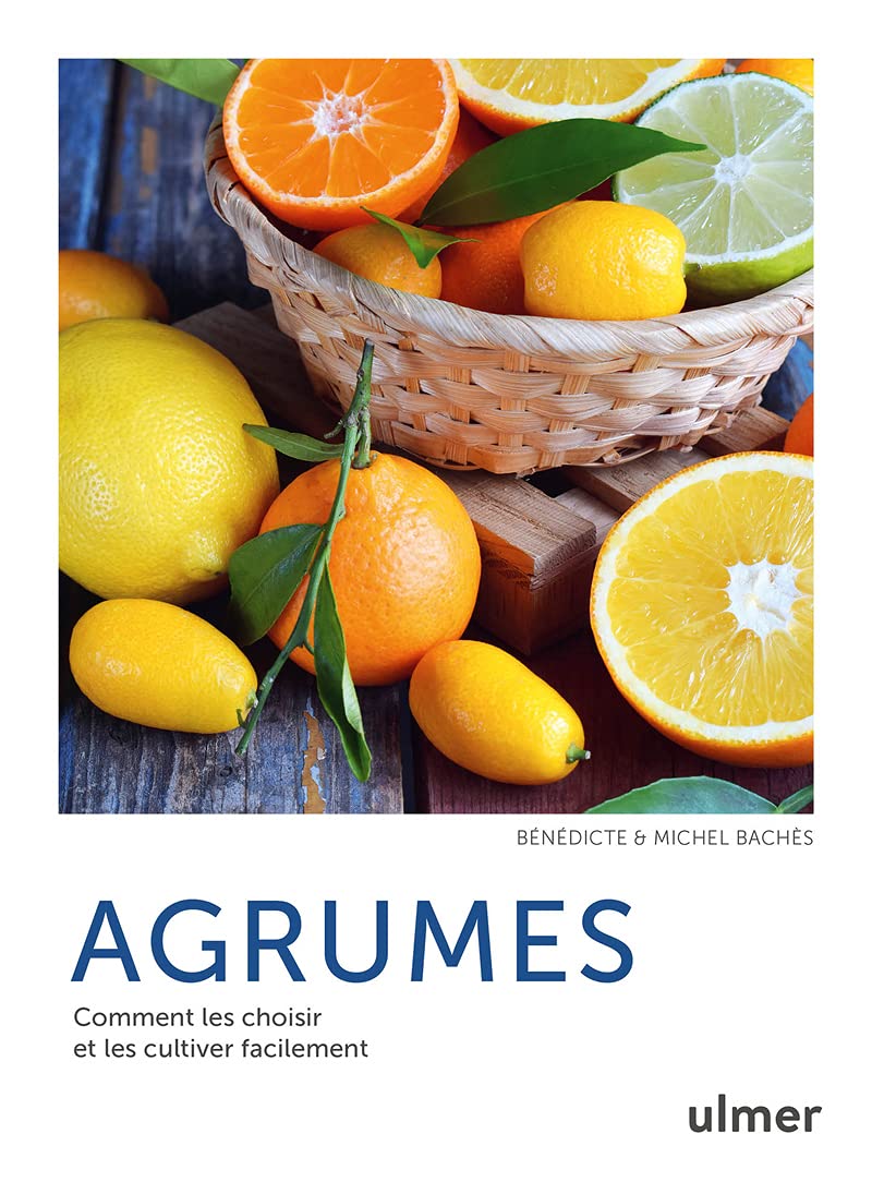 Agrumes - Comment les choisir, cultiver et cuisiner