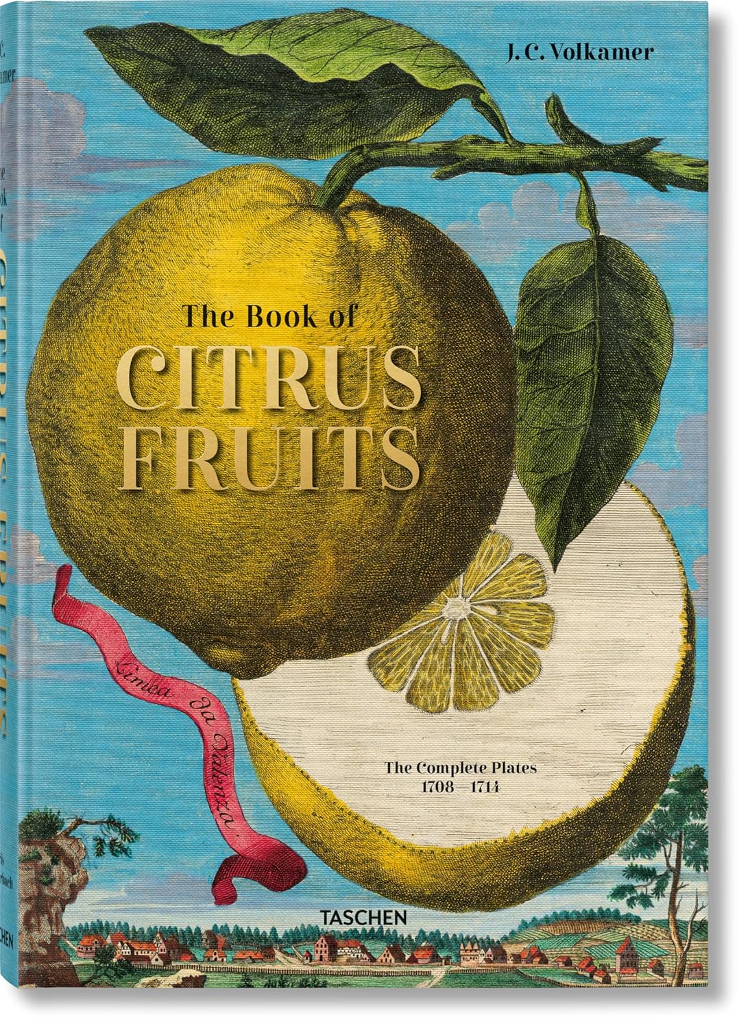 Volkamer: Citrus Fruits